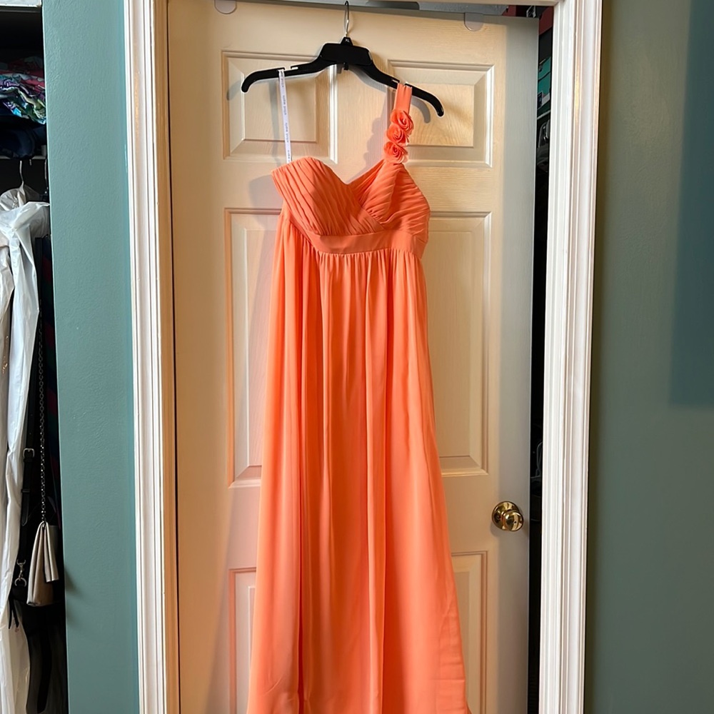Orange Bridesmaid’s Dress size 10